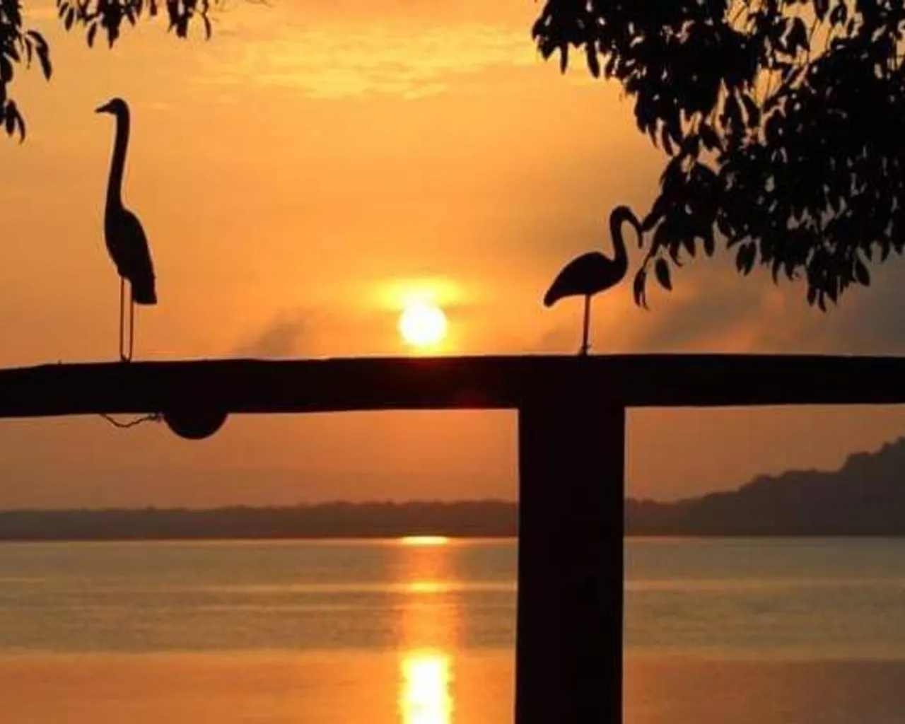 전망