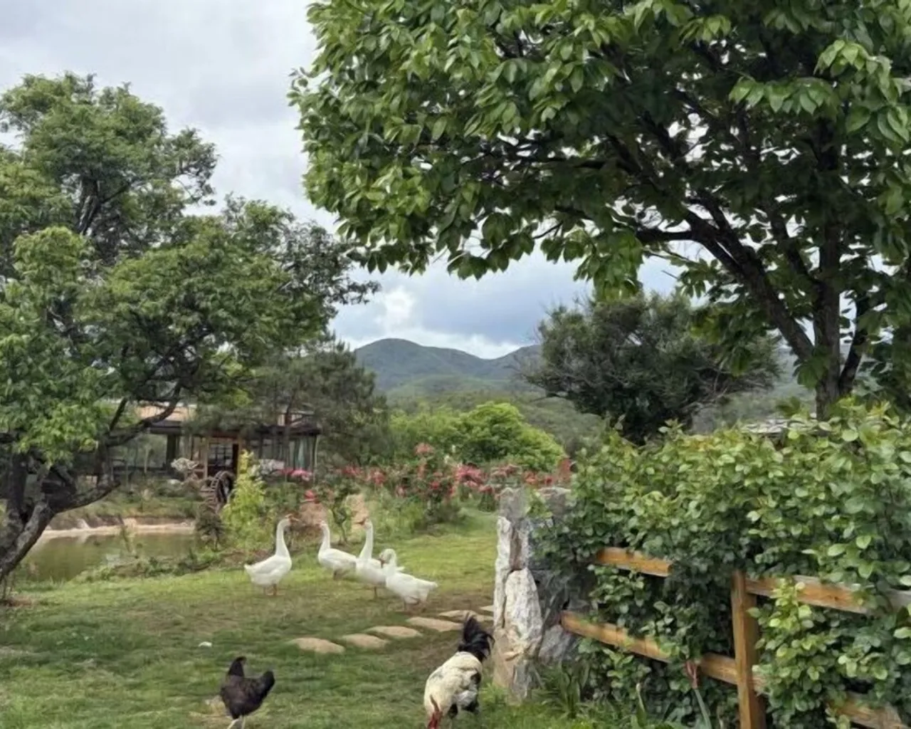 숙소 주변