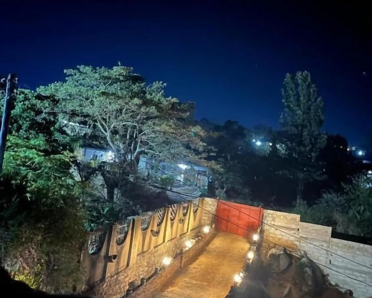 기본 이미지
