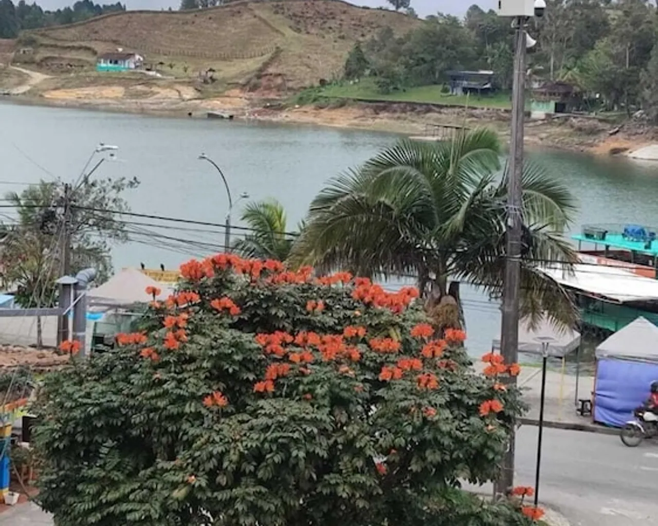 기본 이미지