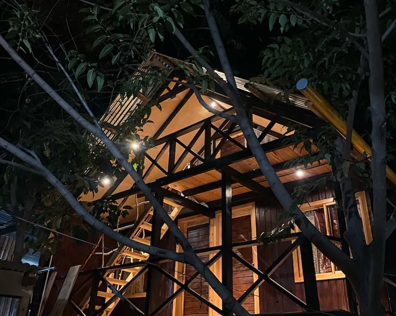 기본 이미지