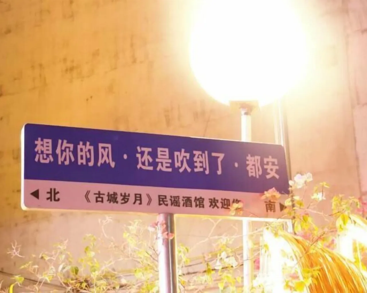 외부 디테일