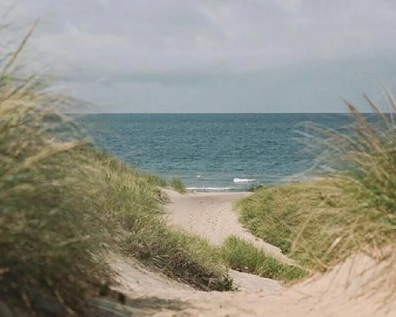 해변