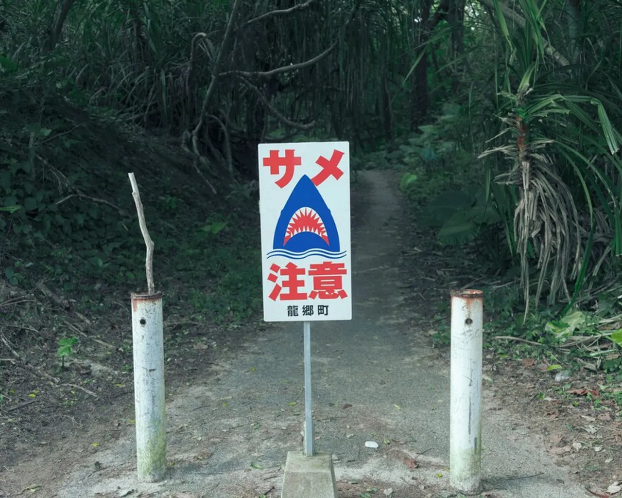 숙소 주변