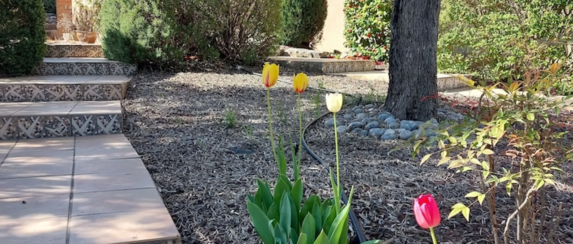 외관
