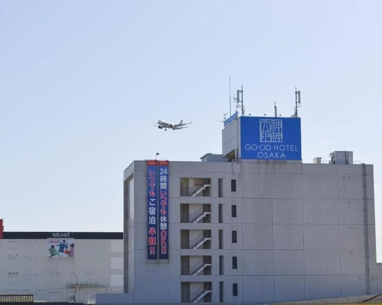 기본 이미지