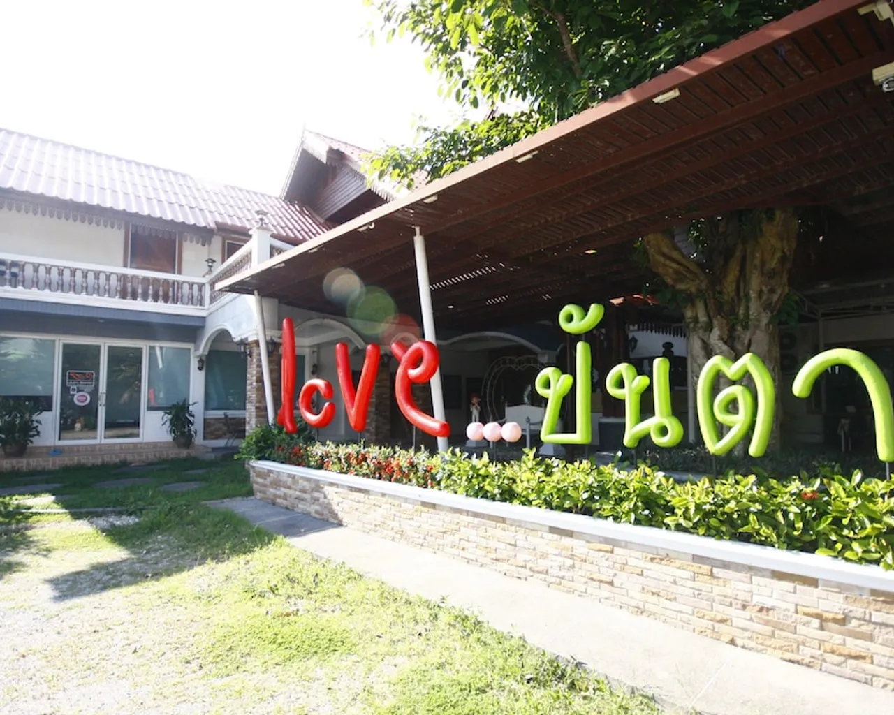 기본 이미지