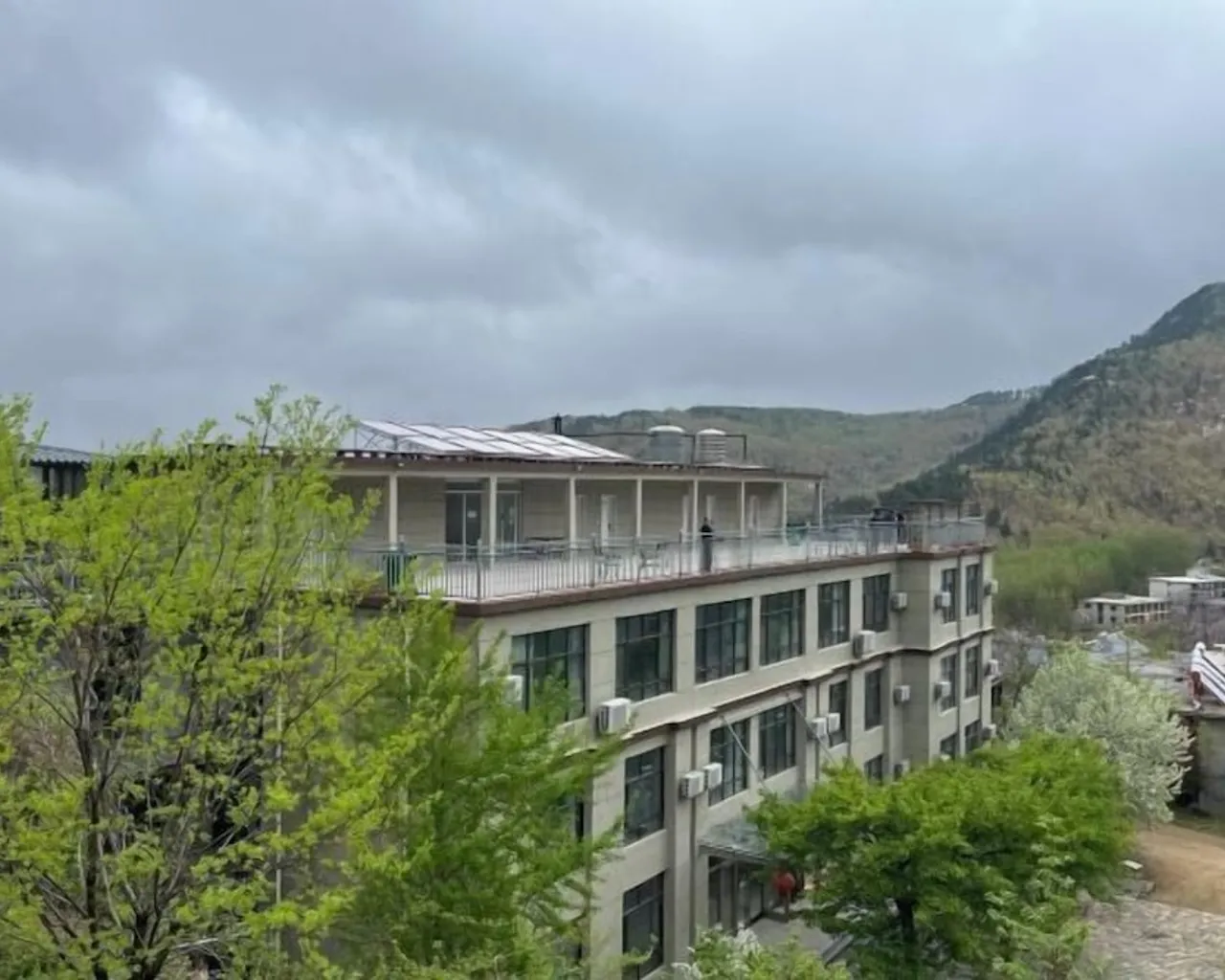 기본 이미지