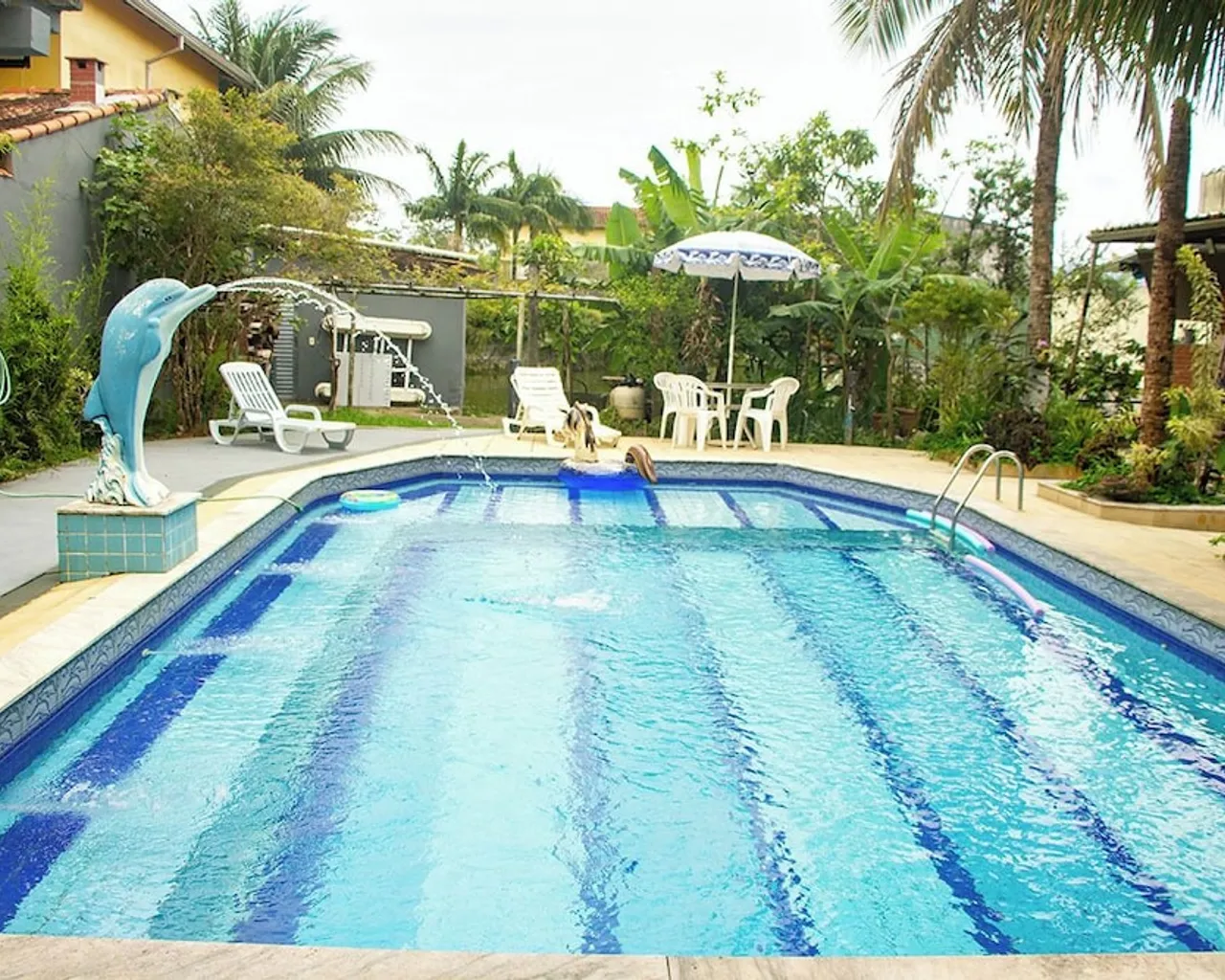 기본 이미지