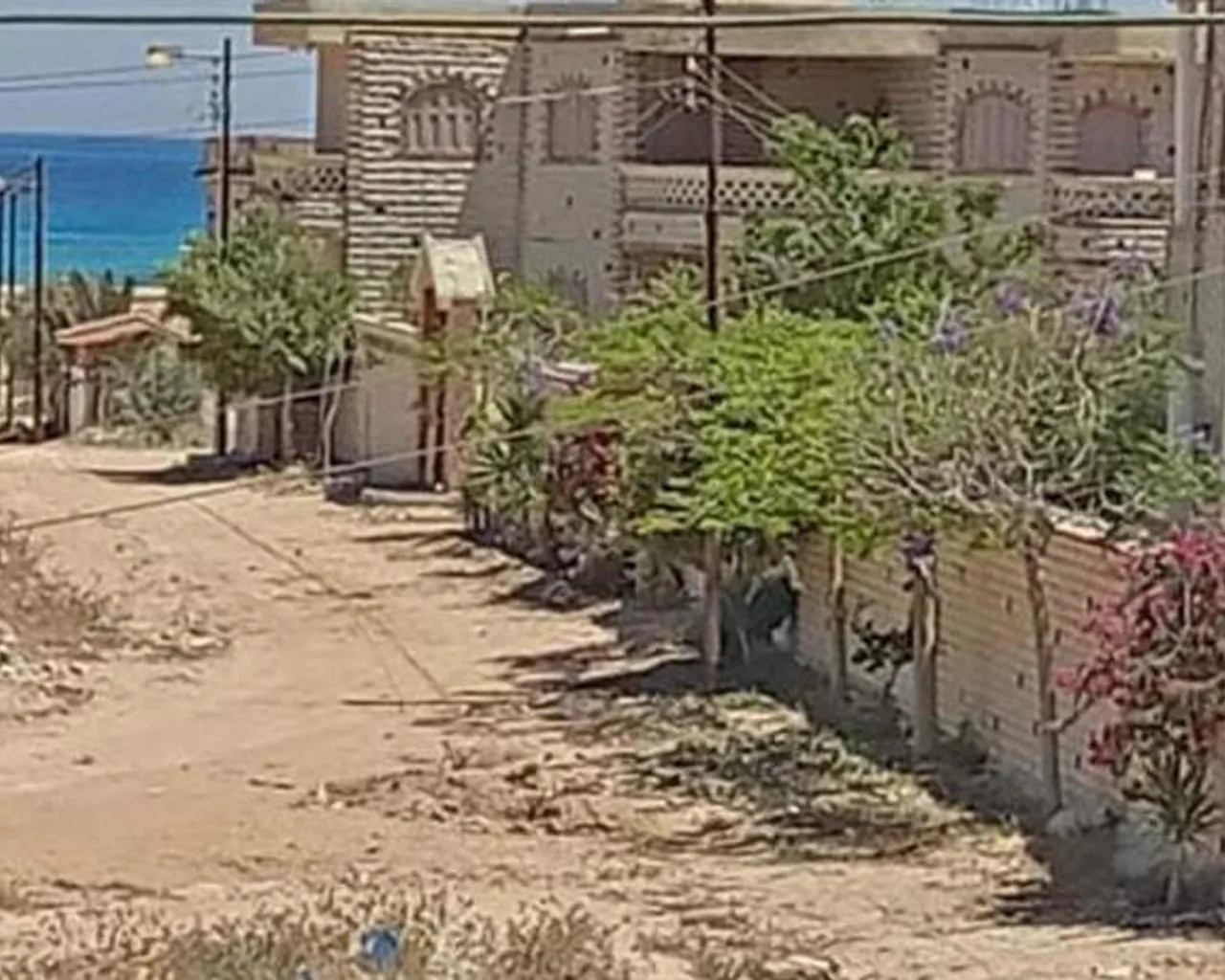 주변 환경