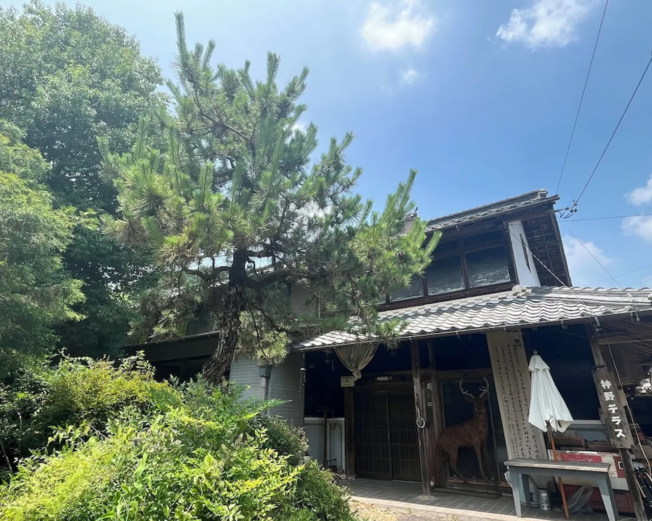 기본 이미지