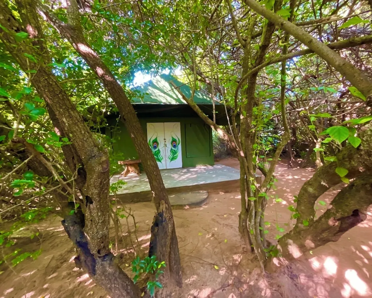 기본 이미지
