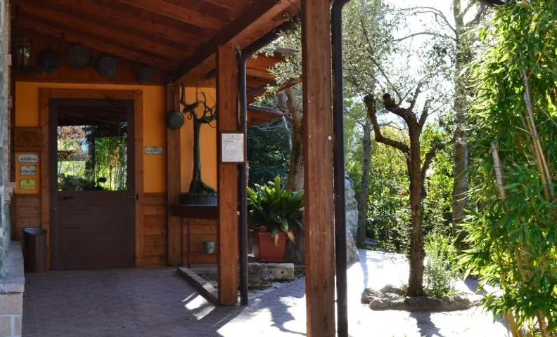 Costa del Gallo
