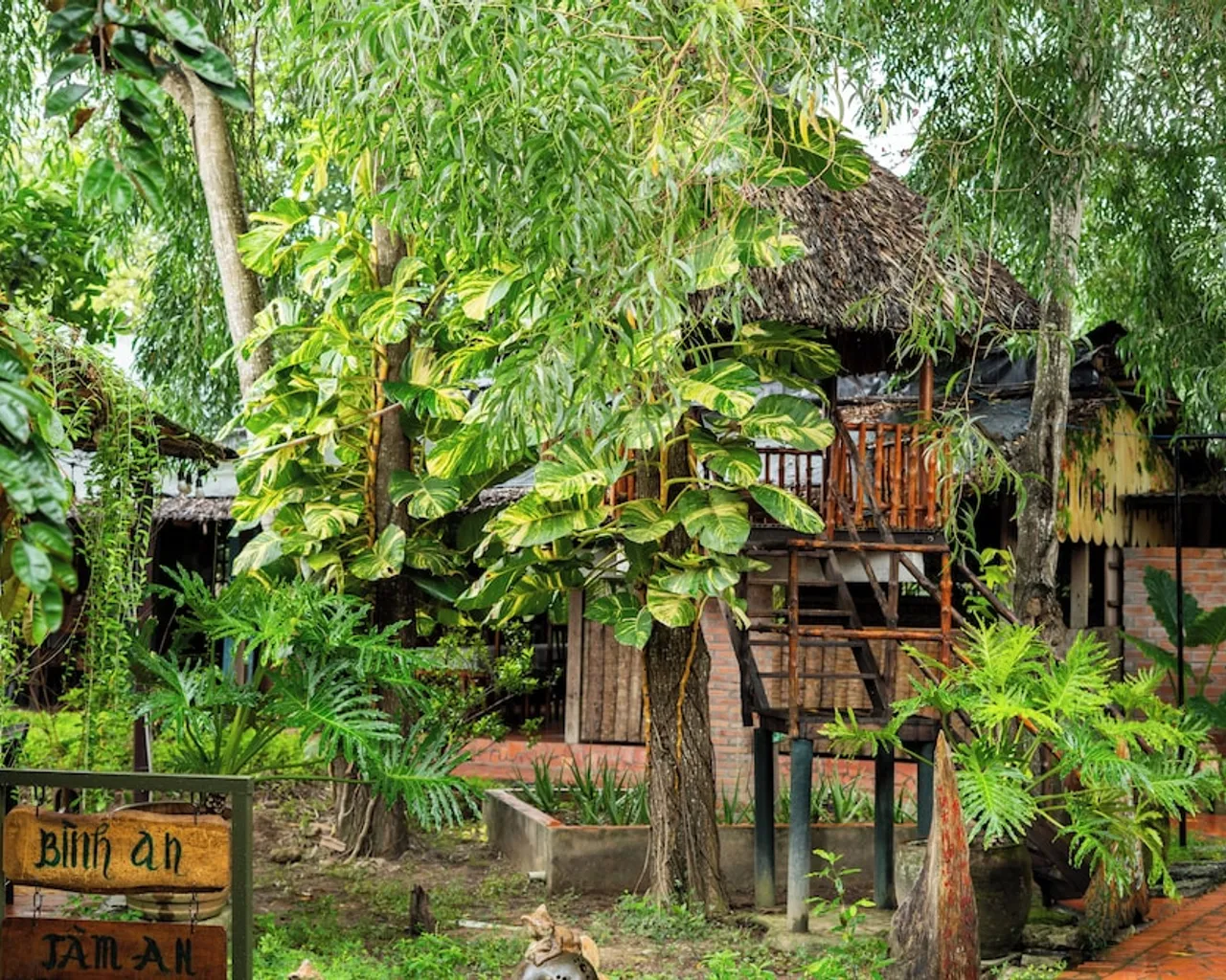기본 이미지