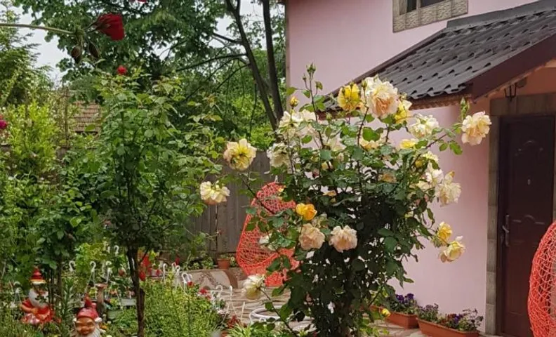 Pensiunea Happy Flowers