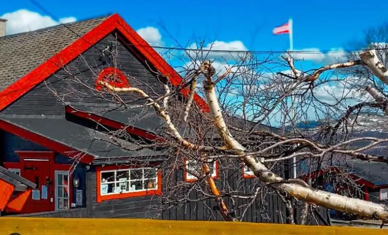 Snøhetta Camping