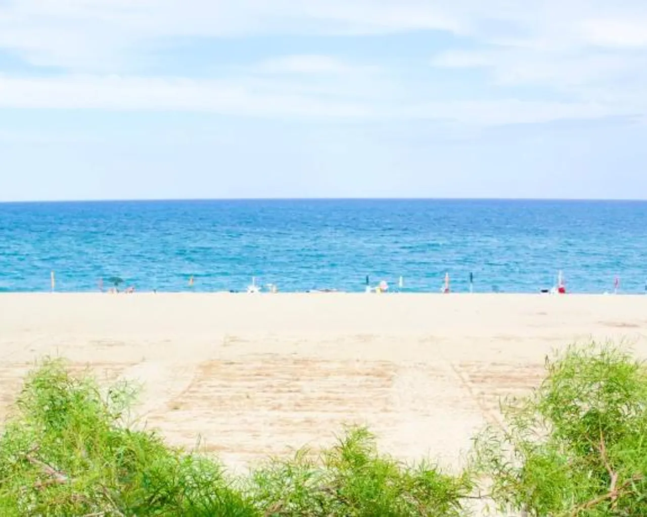 주변 환경