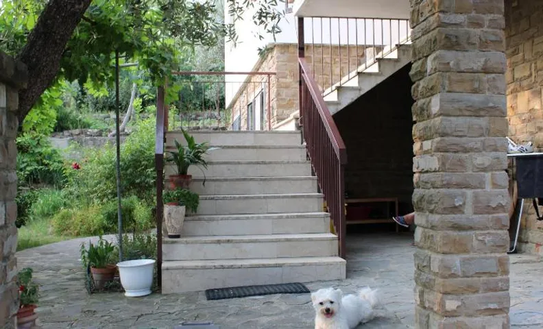 BELLA VISTA BOLOGNESE