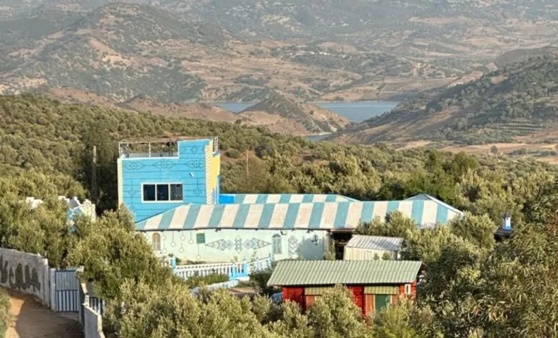 The blue house