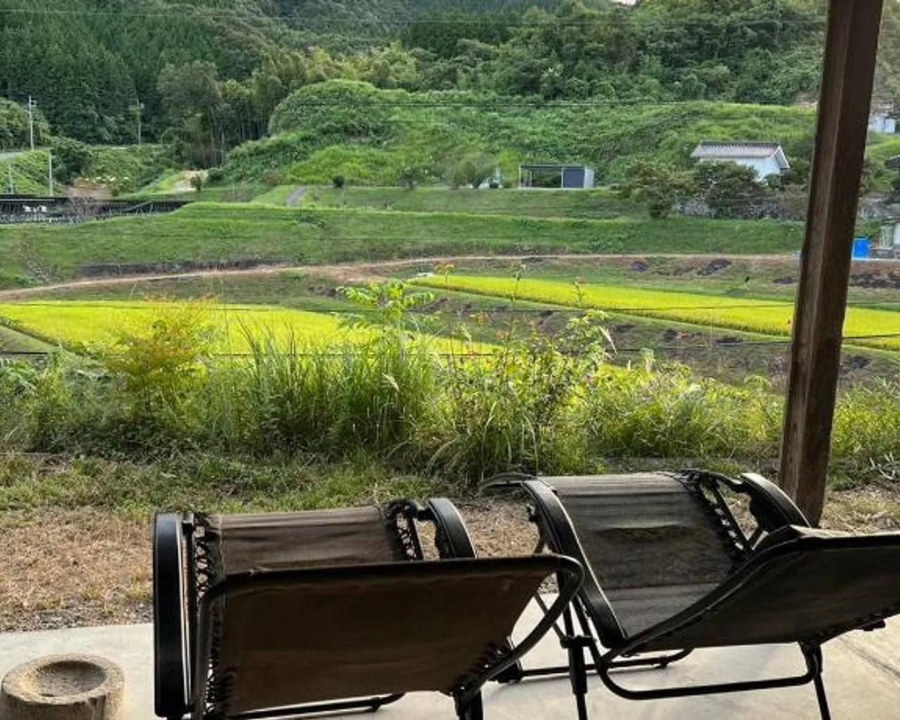 주변 환경