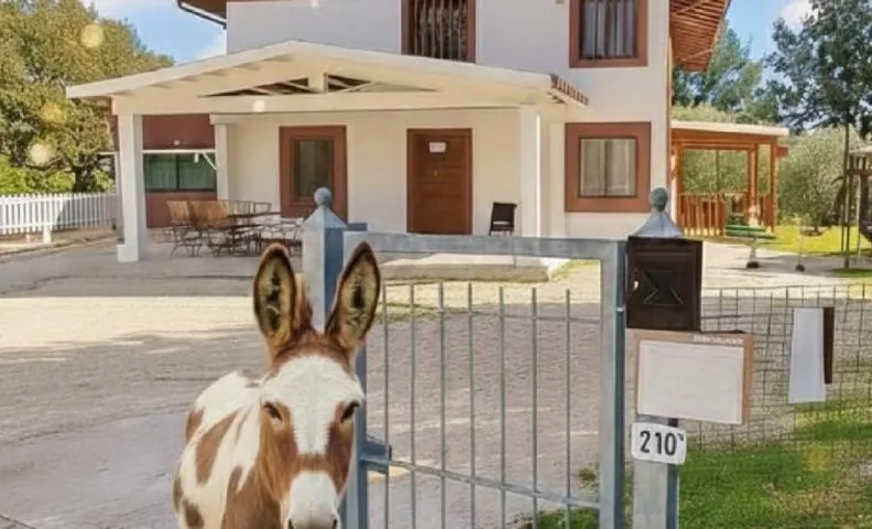 LE CERQUE