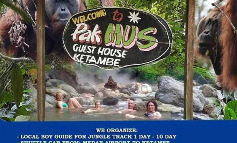 Pak Mus Guest House Ketambe - 0813-7072-1793