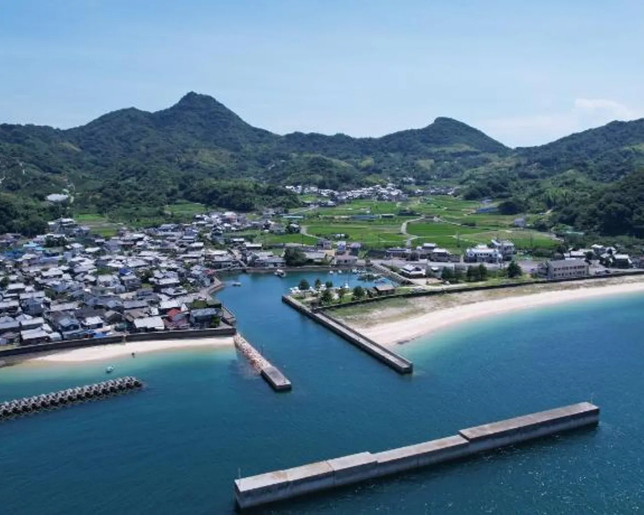 전망