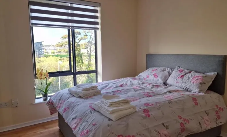 Clearwater Apartment