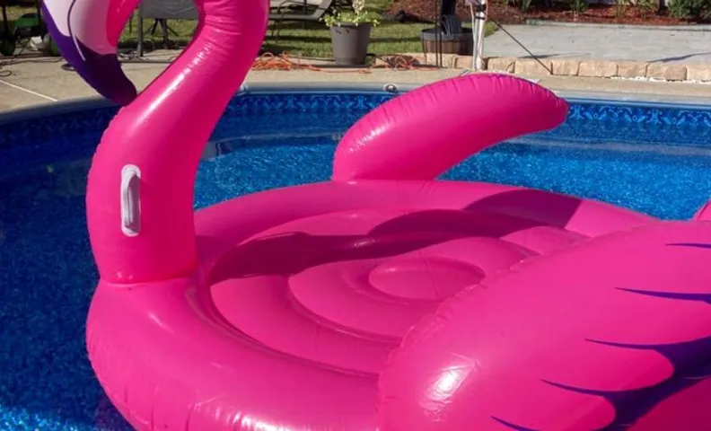 Very Private 3 Bed Home with HEATED Pool Palms and Big Fenced Yard