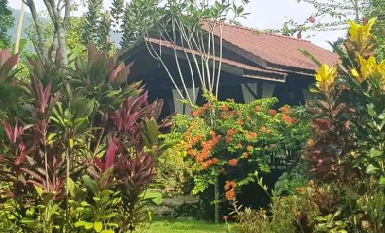 Thousand hills peaceful bungalows and expert jungle treks