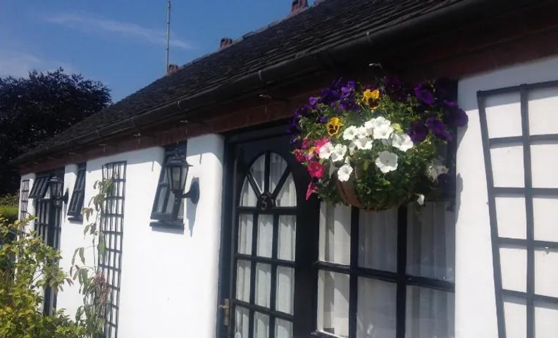 The Green Man