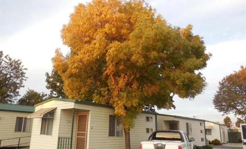 Wodonga Caravan & Cabin Park