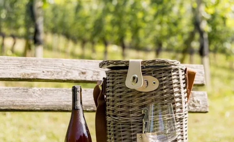 Monschein Weingut Straden