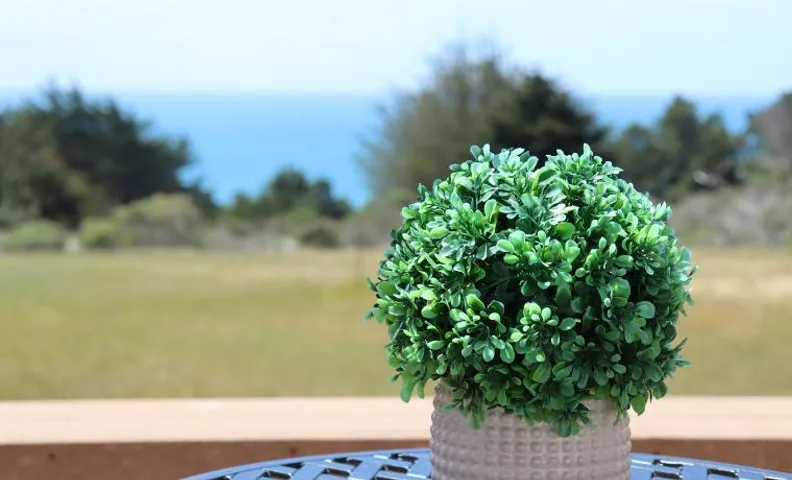 Cozy Getaway with Ocean View and Private Entrance!