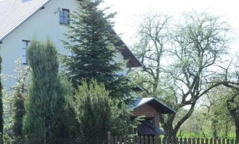 Siedlisko Pauza