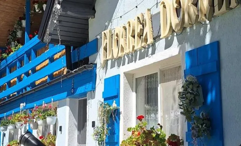 Pensiunea Floarea Dornei
