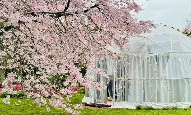 Flowerhaven - glamping dome