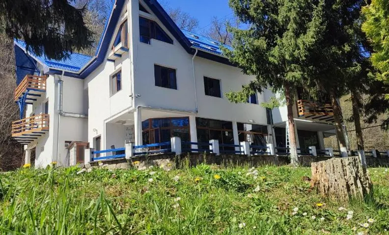 Hotel Parc Geoagiu Bai