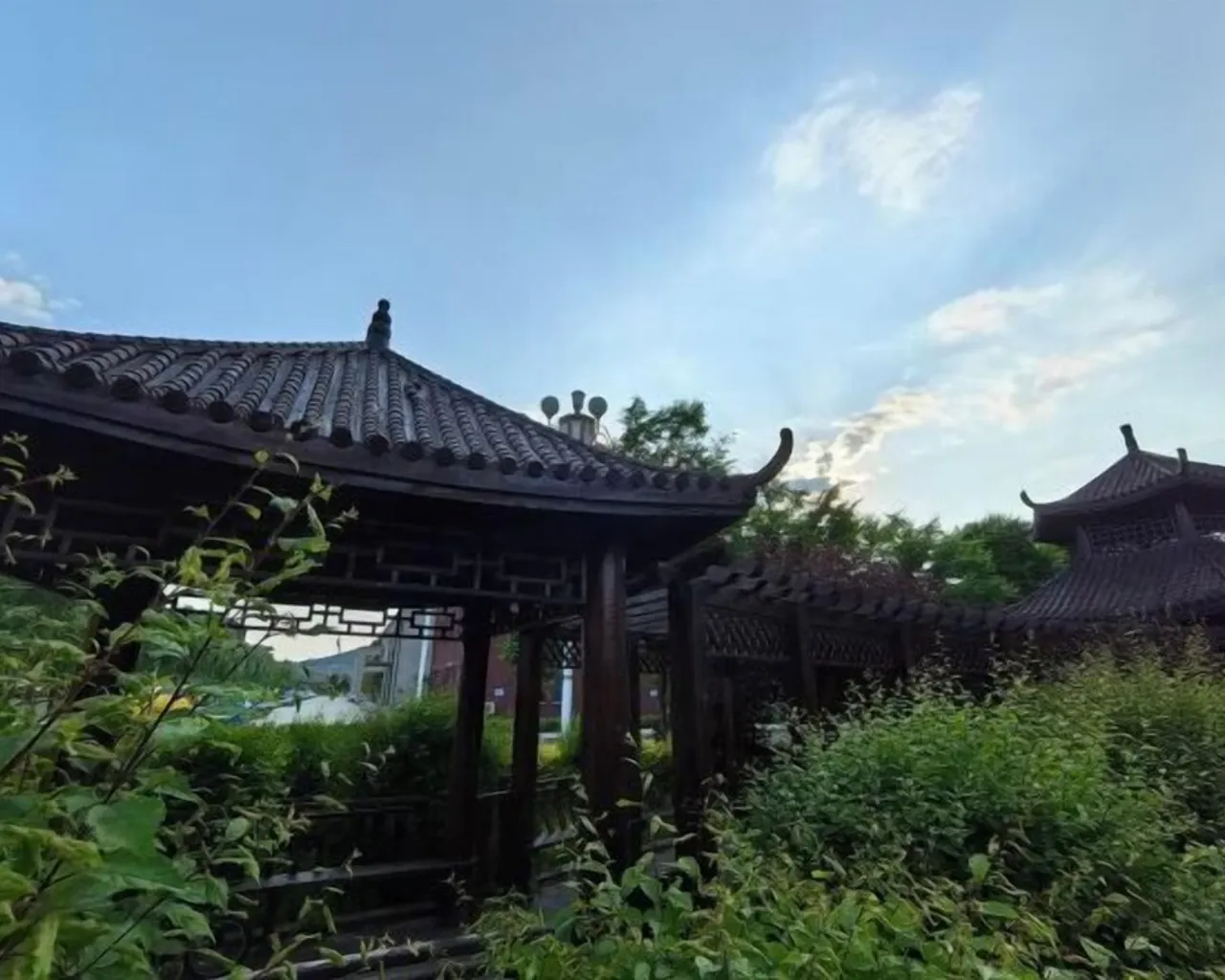 정원