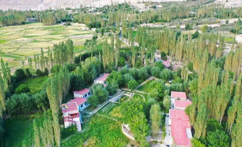 Lharimo North Cottages - Nubra Valley