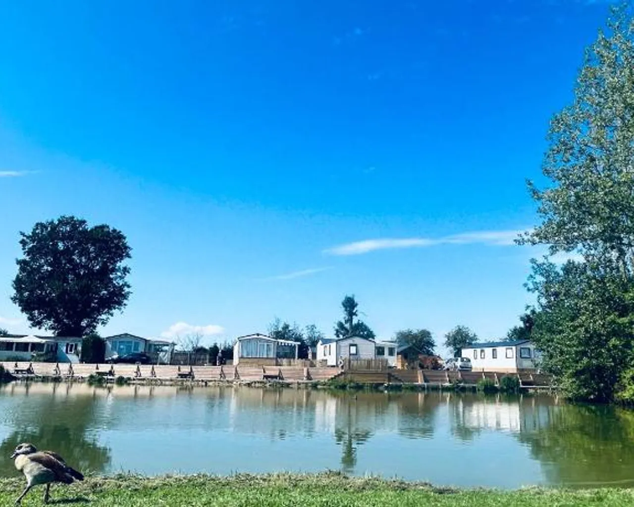 주변 환경