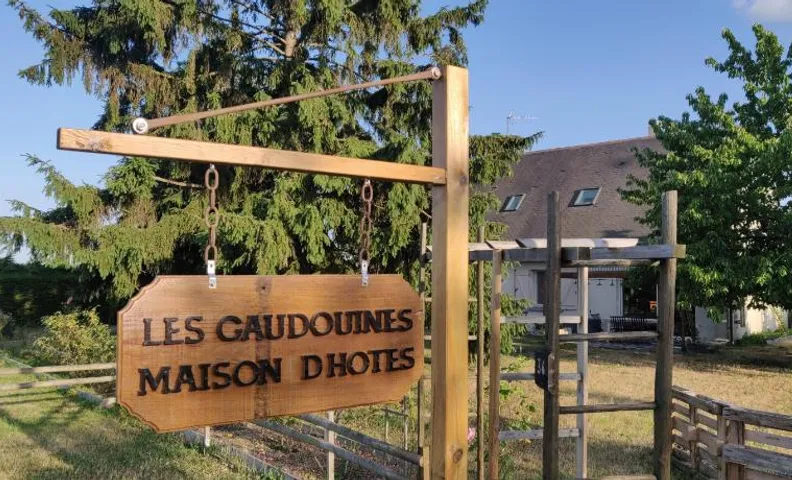 Les Gaudouines