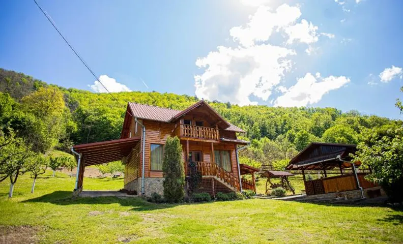 Casa de Vacanță Haneș - Private Cabin - Orchard & Mountain Views - Transalpina & viaTransilvanica