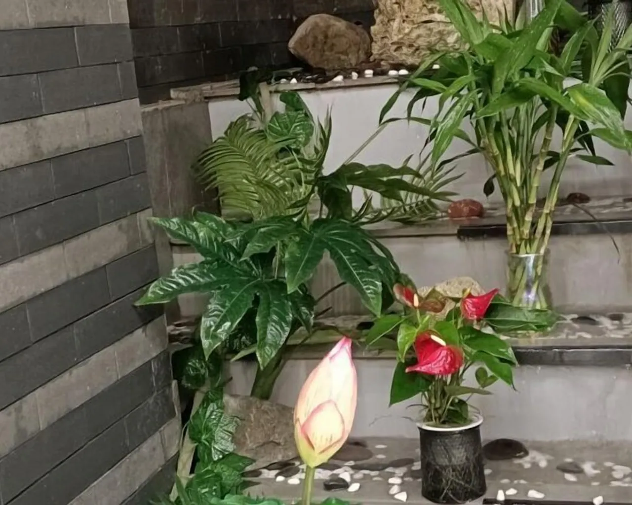 숙소 주변