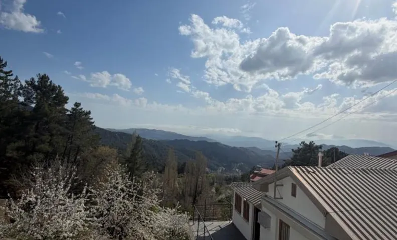 Petrovounos Villa