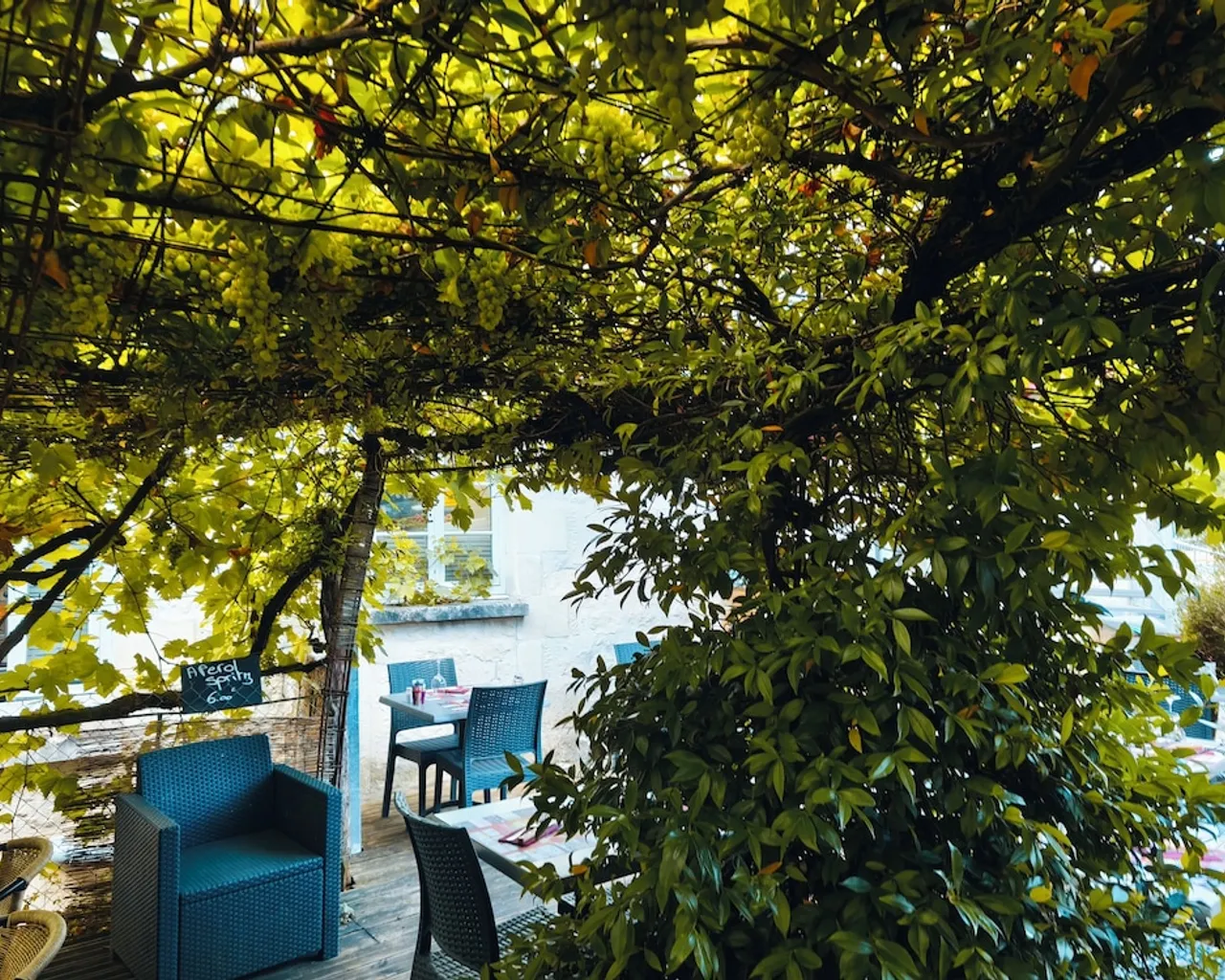 야외 다이닝