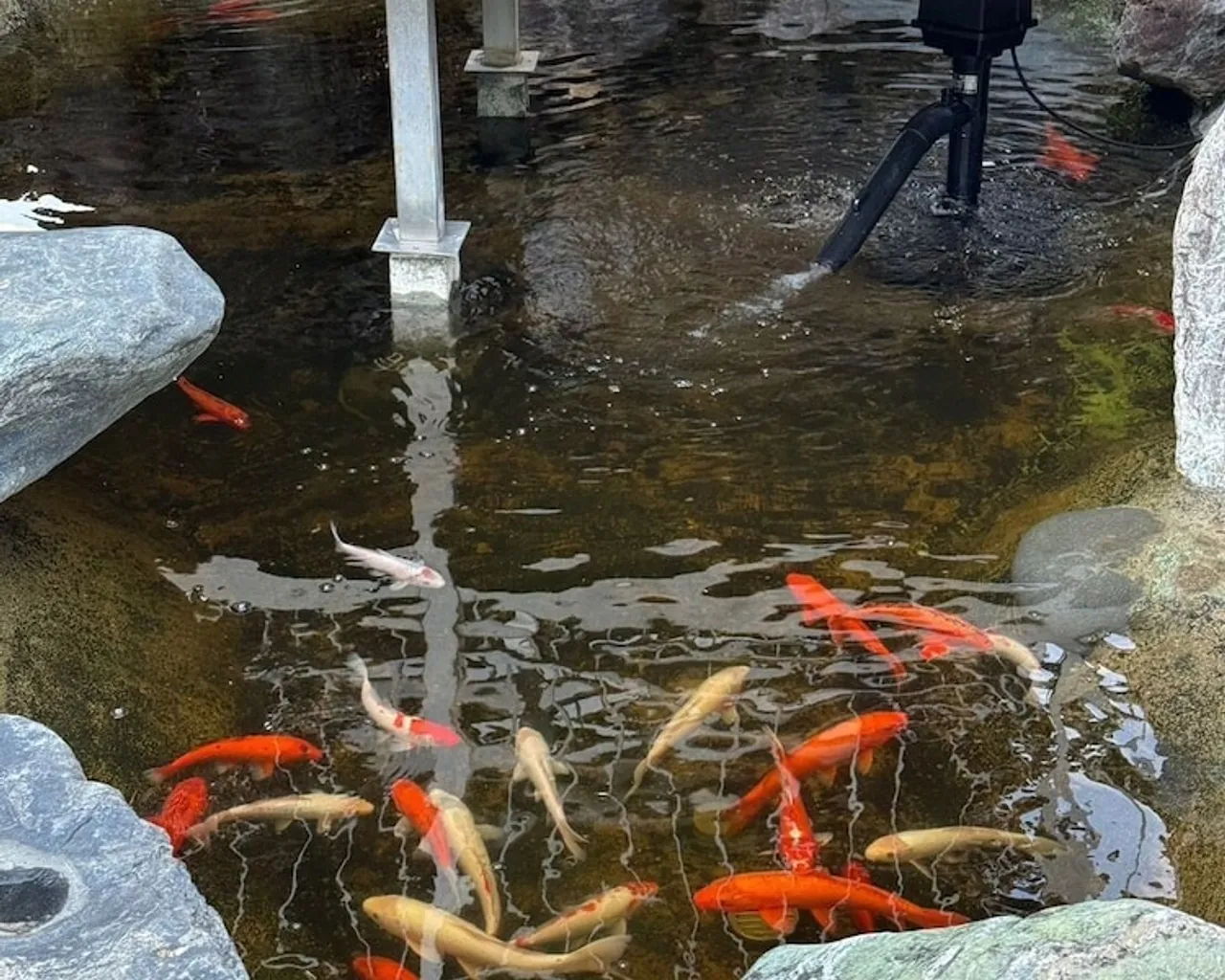 숙소 앞