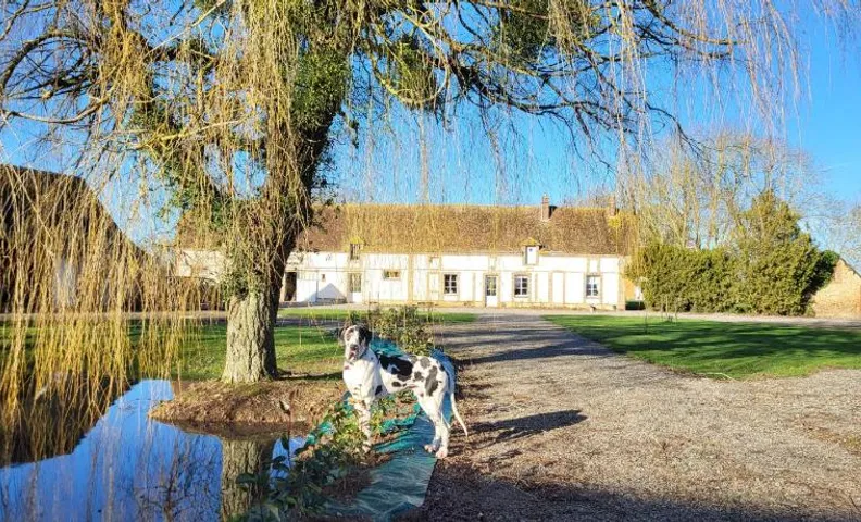 Chambre d'hôtes au Haras d'Agathe et ses princes