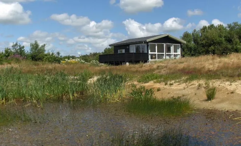 Axelgaard Nature Suite