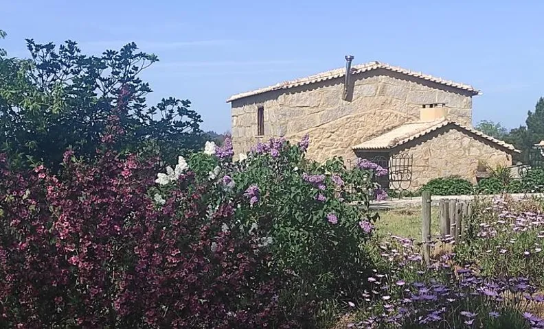 Quinta Damigo